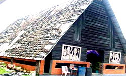 Rescuing Sick Art Home…