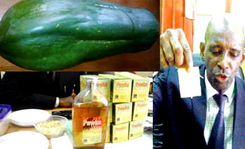 We have succeeded in producing pawpaw tea and wine – Prof Egwari