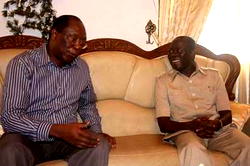 When two elephants play