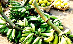 Food security: Lagos grants N16m loan to farmers