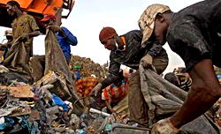 PET bottles recycling generates 1,800 jobs across value chains