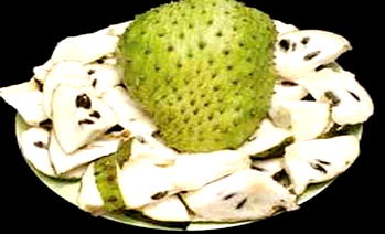 RESEARCH & DEVT: Use soursop to fight diarrhoea,malnutrition – Prof Enweani