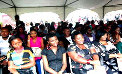 Tinsel shops for new stars