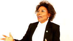 Delegates’ Conference Kaduna: Towards protecting lawyers from terrorism