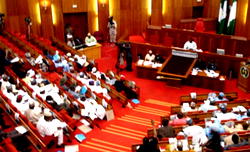 BOKO HARAM: Senate to FG: Use military might to crush terrorism