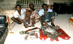 Bayelsa Police nab robbery gang, recover arms