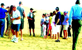 Taking lesson on falconry at the desert