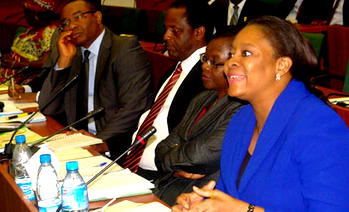 SEC commissioners disown Oteh