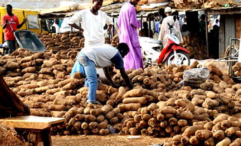 Anambra, ABX World export okra, yams, potatoes, others to Europe