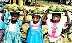 There are still 152 million victims of child labour, ILO warns