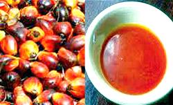 Palm oil producers cry out over price slide due to illegal import