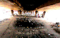 Shock as taskforce flushes illegal squatters from under bridges