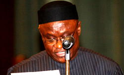 2006 census controversy: CAN tells Jonathan not to sack Odimegwu