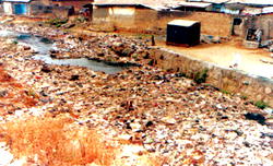 In Niger, it’s futile war against filth, as flood threatens
