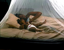 Koko gets mosquito nets, free malaria treatment