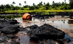 Toxicologists raise alarm over  pollutants in N-Delta communities