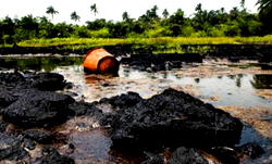 Toxicologists raise alarm over  pollutants in N-Delta communities