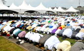 Of true Muslims and terrorists
