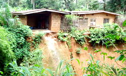 Gully erosion ravages Anambra community