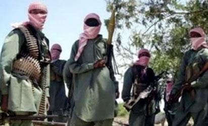 Boko Haram  kills 15, sacks 7 communities in Borno