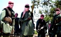 Lay down your arms, ACF begs Boko Haram
