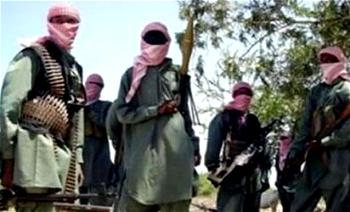 Help Call From Boko Haram Victims: Widows, orphans dying at Cameroun border
