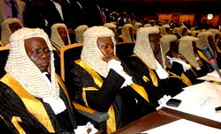 National Interest : SANs knock Buhari, insist on supremacy of rule of law