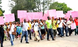 BAKASSKI PENINSULA: Why Nigeria should ask ICJ to review  verdict (2)