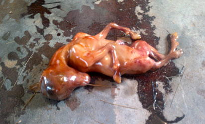 How woman delivered monster in church