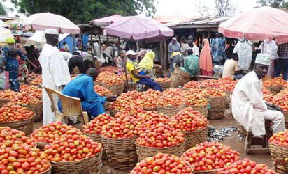 Nigeria’s annual tomato import bill now N16bn — Per Sec