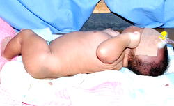 Lifeline Advocate for newborns