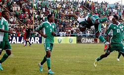 Target 2015 Nations Cup title, Odegbami advises Keshi