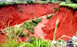 Erosion: UNIBEN may be cut off
