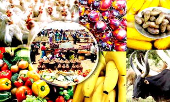 Stakeholders meet to dissect Nigeria’s agricultural policies