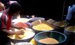 APC governors pledge commitment to Food Security