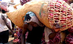Why we suspend onion supply to Southeast — OPMAN