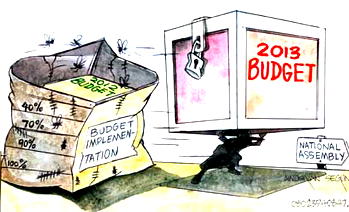 ‘2013 Budget not pro-poor’