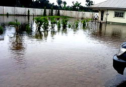 Lamentations of ex-Senator: Help, my elder brother still in the morgue