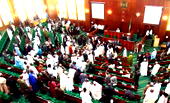 The pepper soup legislature