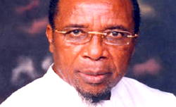 Anambra poll, sign of looming danger, says Chukwumerije 