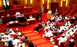 Senator Yerima and Constitutional Review, By Maryam Uwais