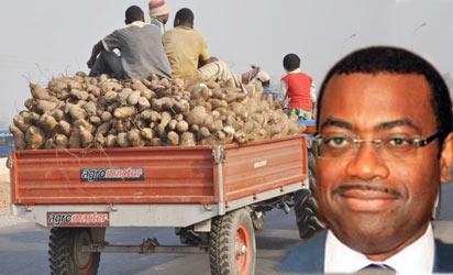 Why there have been no food riots in Nigeria  — Adesina, Agric Minister