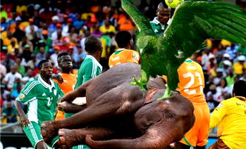 AFCON: Boastful Eboue eats his words, apologises to Nigeria
