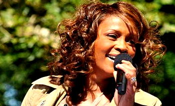 One year after Whitney – Lessons learnt