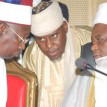 Declare total amnesty for Boko Haram, Sultan tells Jonathan