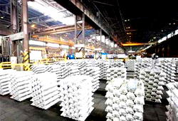 Concerns grow over ALSCON!