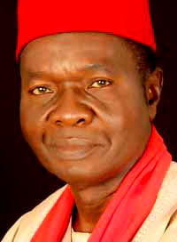APC: We will reclaim our stolen identity – Ikeagwuonu