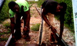 Oshodi rail station to resume services after 7 years