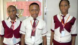 Anaerobic digester for electricity, fertiliser production