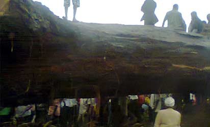 Ancient tree tragedy: Tears, condemnations trail multiple deaths